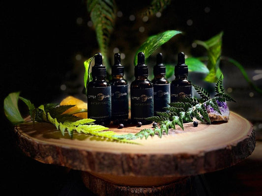 WILDWOOD BEARD OIL | 30ml