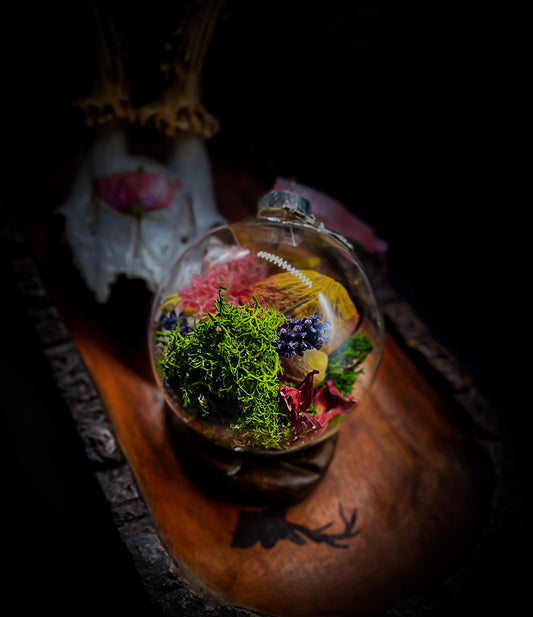 Love and Harmony With Ball