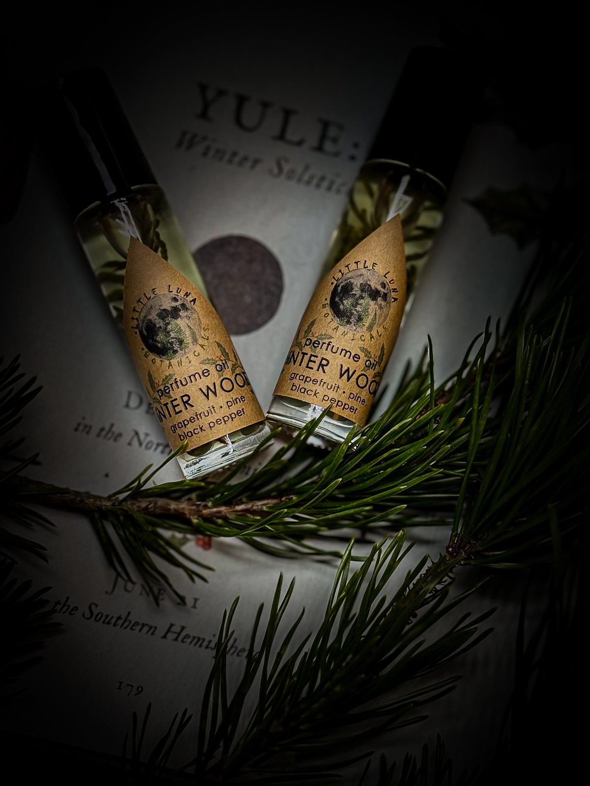 WINTER WOODS Perfume oil | Pine Needle, Black Pepper, Grapefruit | 10ml