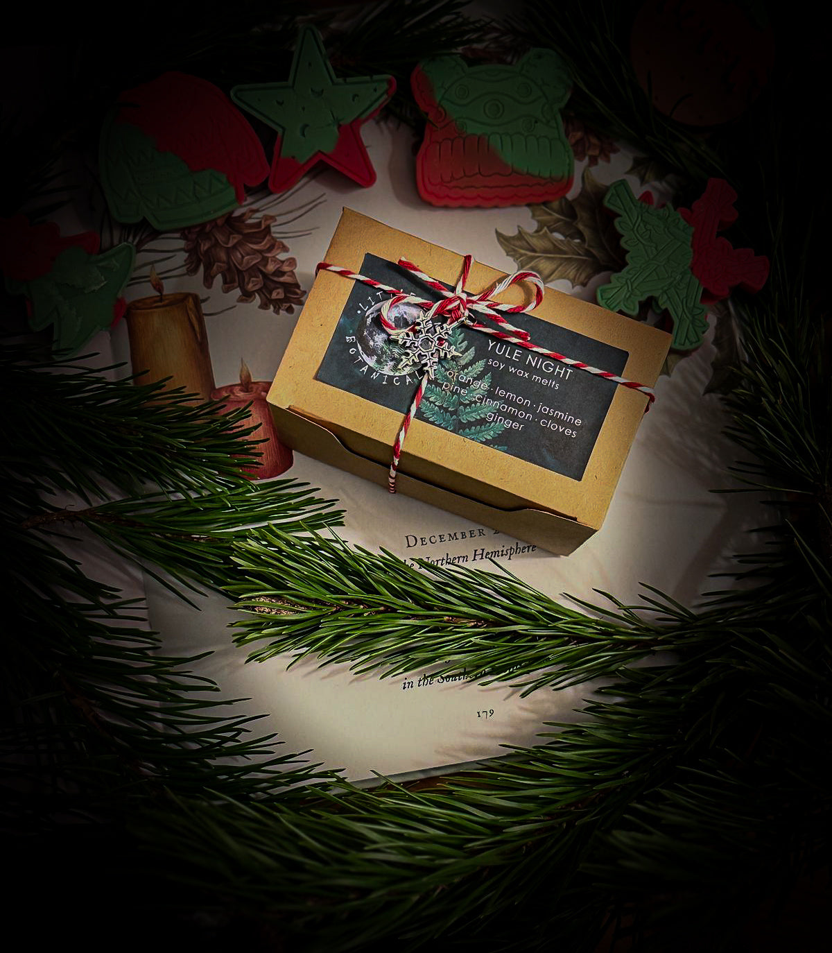 Yule Night wax melts