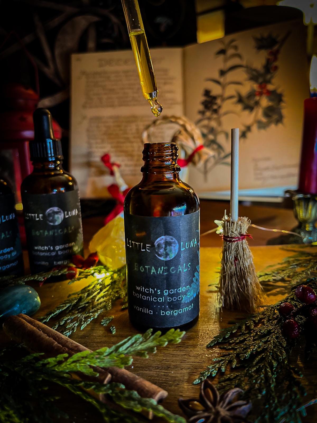 Witch's Garden | Botanical infused body oil | 50ml