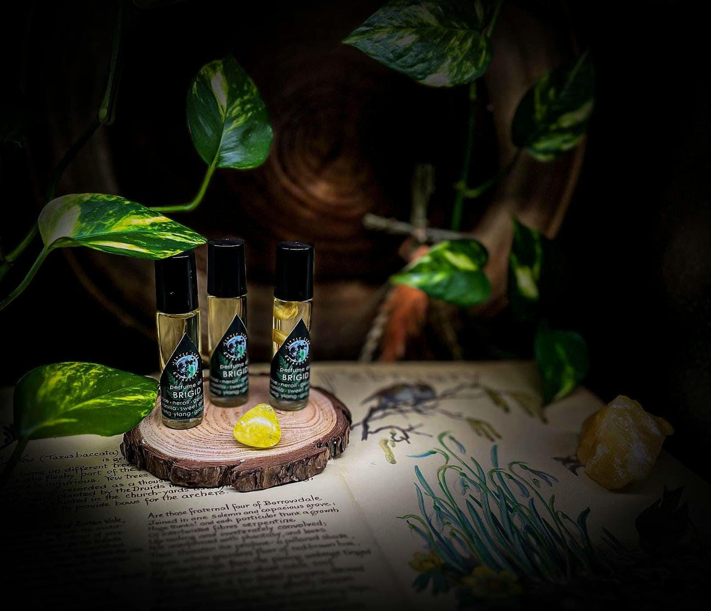 BRIGID Perfume oil | Sweet orange, Rose geranium, Vanilla, Ylang-ylang, Grapefruit | 10ml