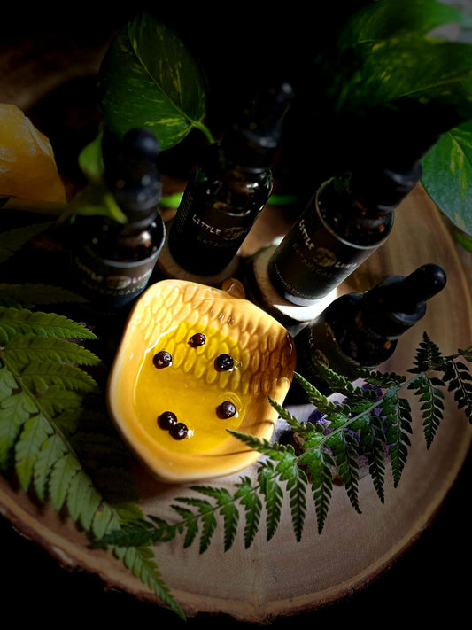 WILDWOOD BEARD OIL | 30ml