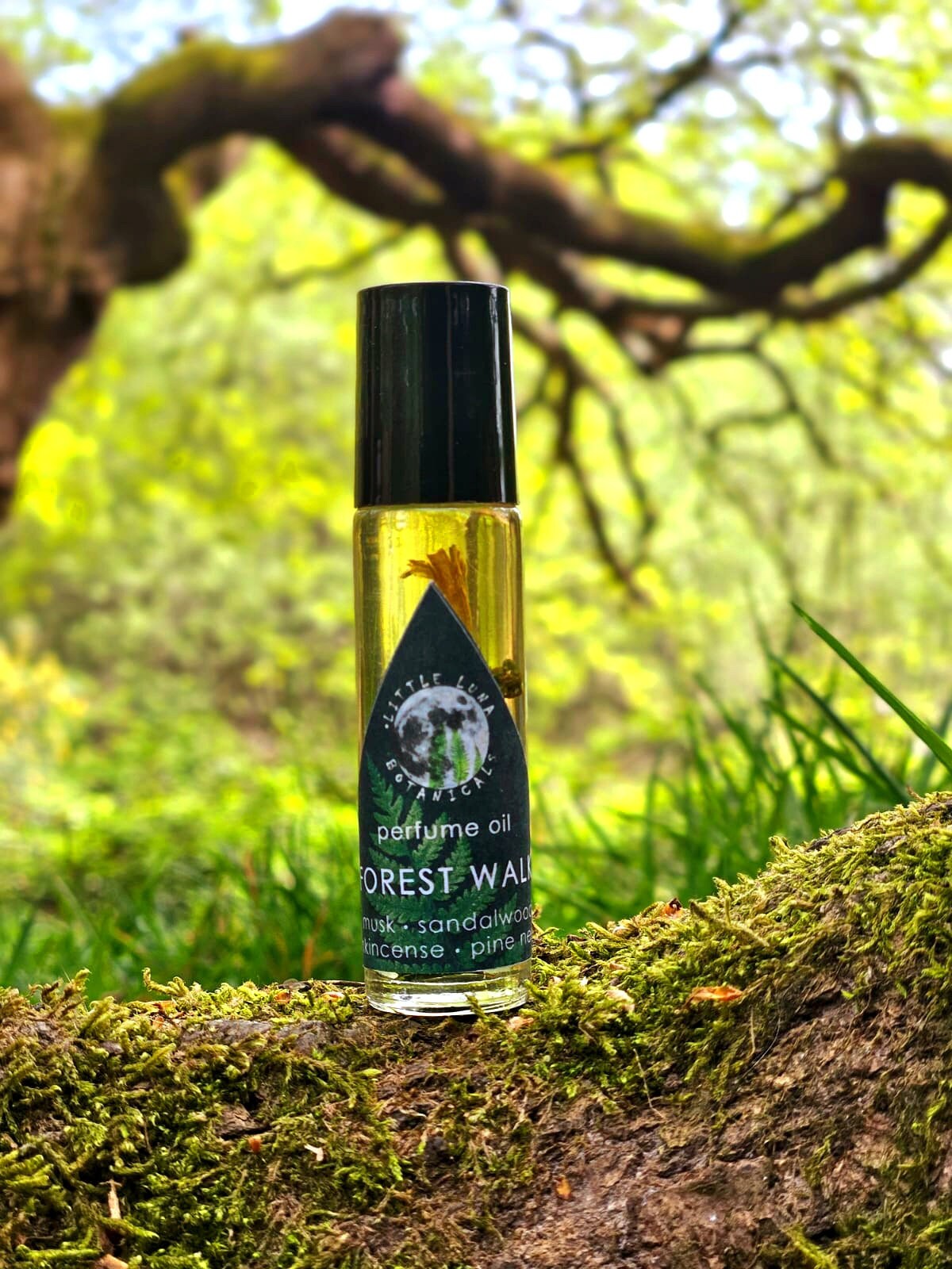 FOREST WALK perfume oil | Musk, Sandalwood, Frankincense, Pine needle | 10ml