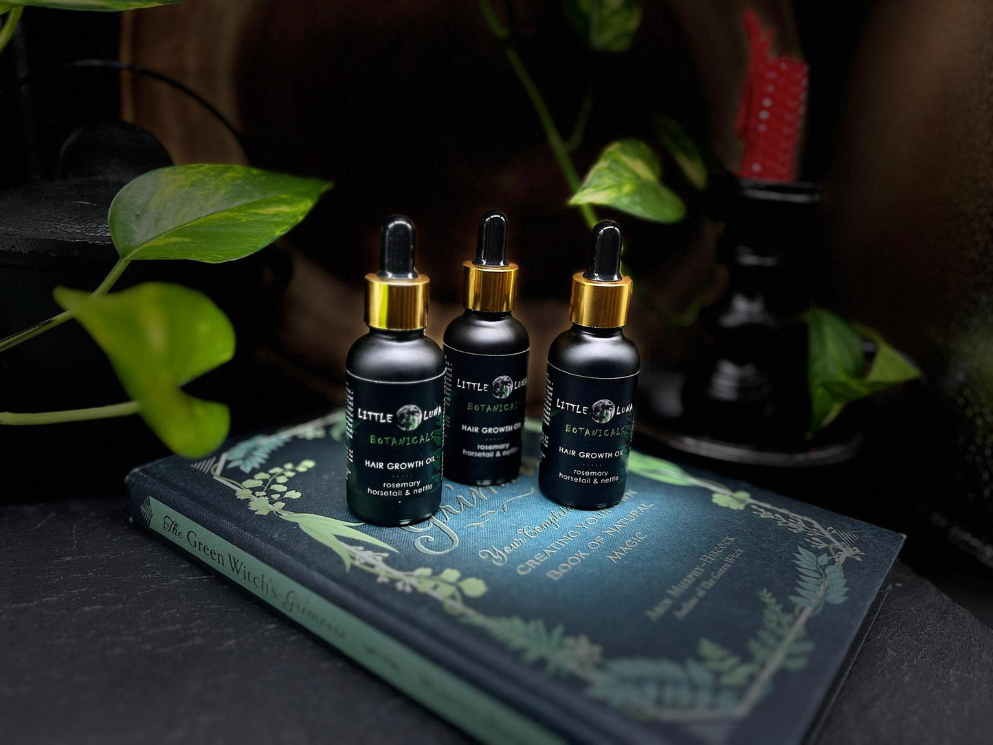 Hair Growth Oil | Rosemary, Nettle & Horsetail infused oil | 30ml