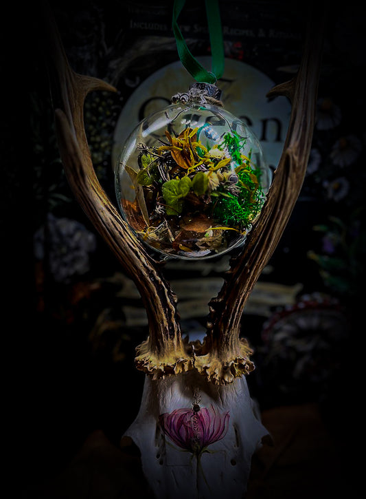 Prosperity and Abundance Witch Ball