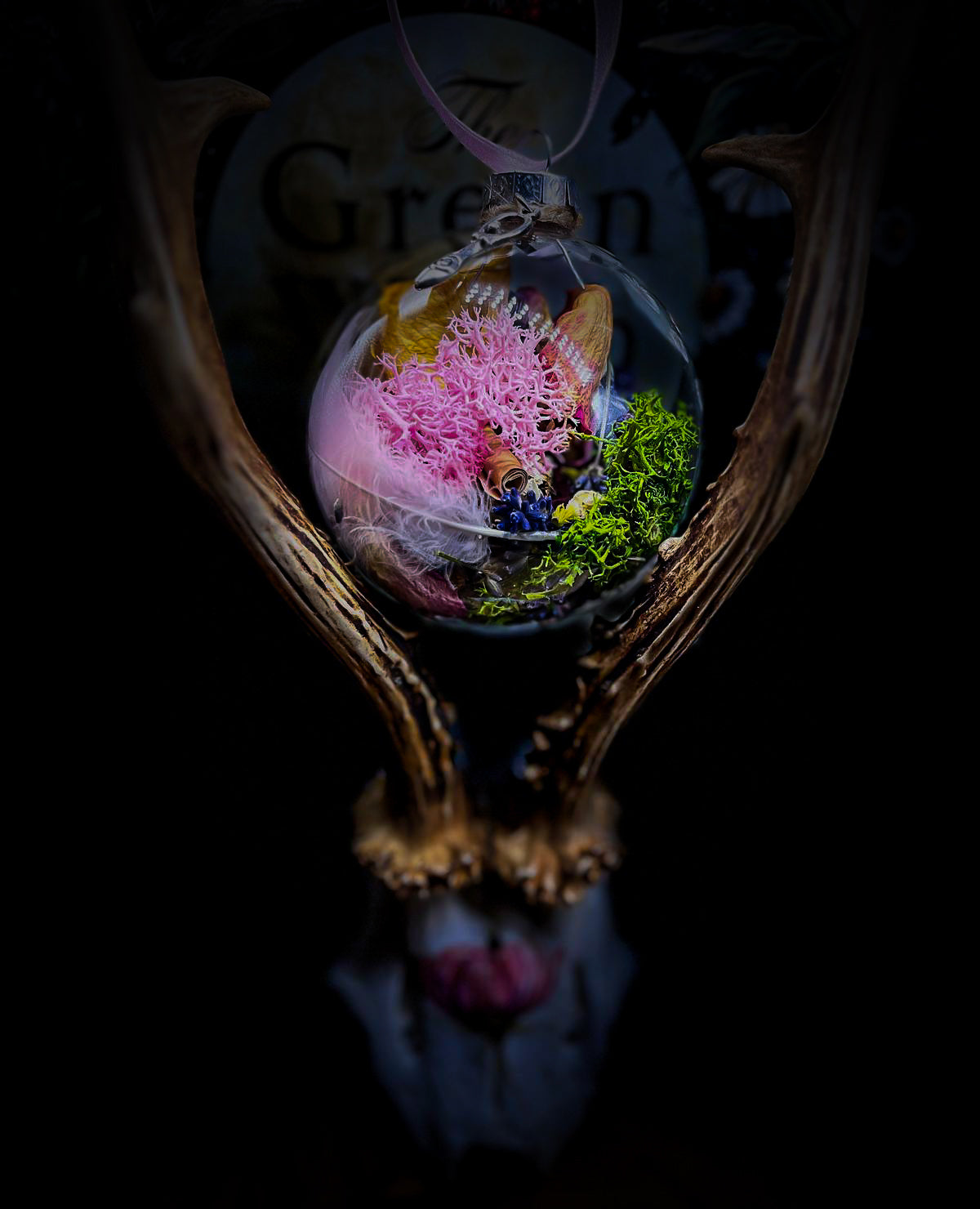 Love and Harmony With Ball
