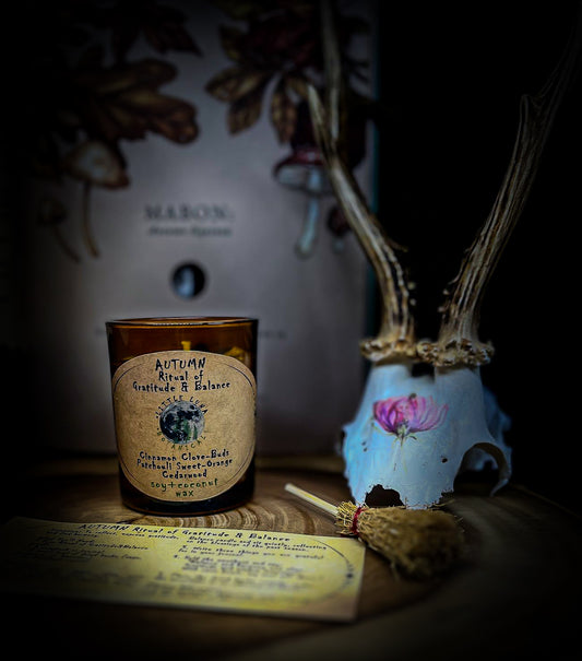 WINTER - Ritual of Rebirth Candle
