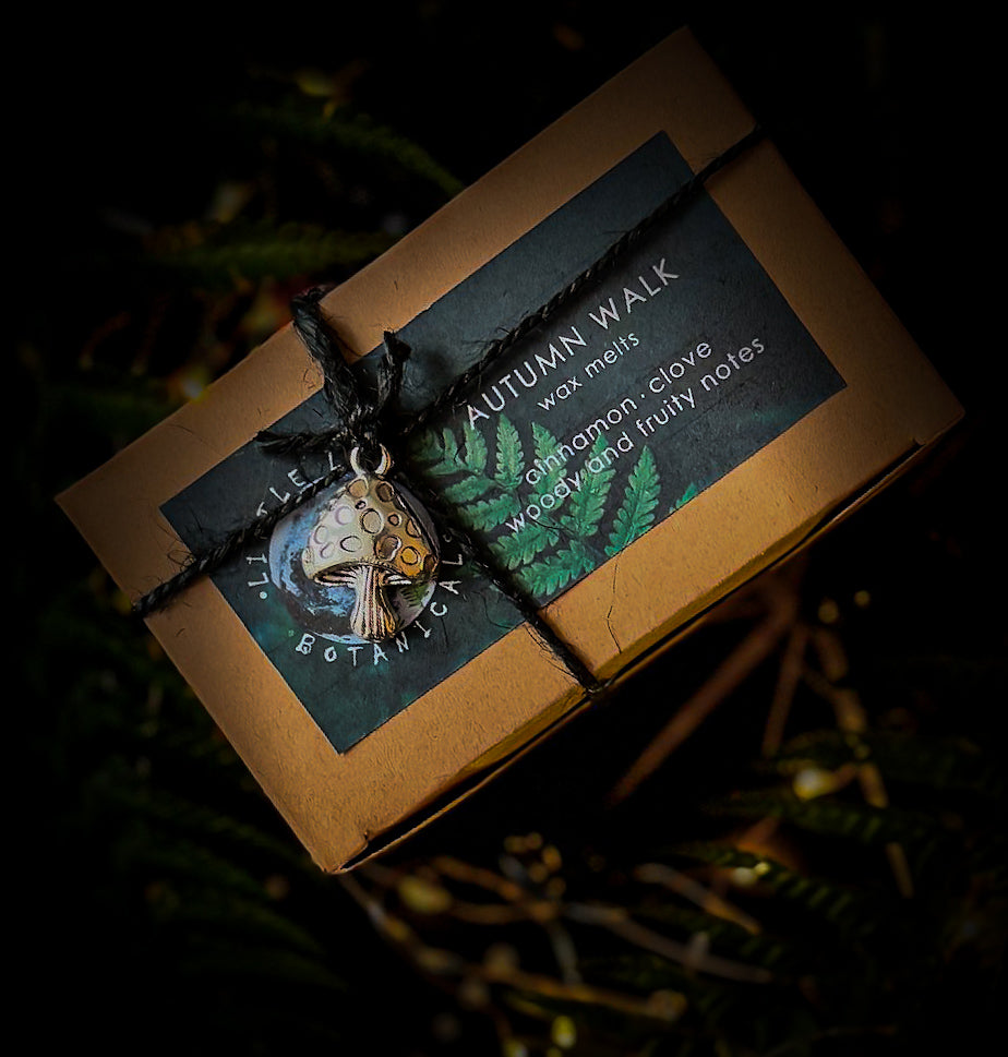 Autumn walk | Cinnamon, Clove, Woody and Fruity notes