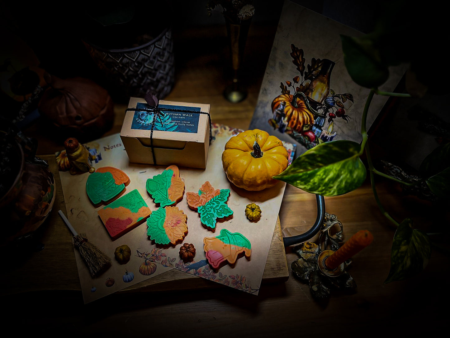 Autumn walk | Cinnamon, Clove, Woody and Fruity notes