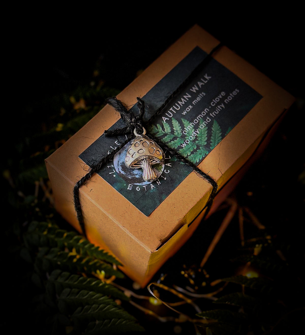 Autumn walk | Cinnamon, Clove, Woody and Fruity notes