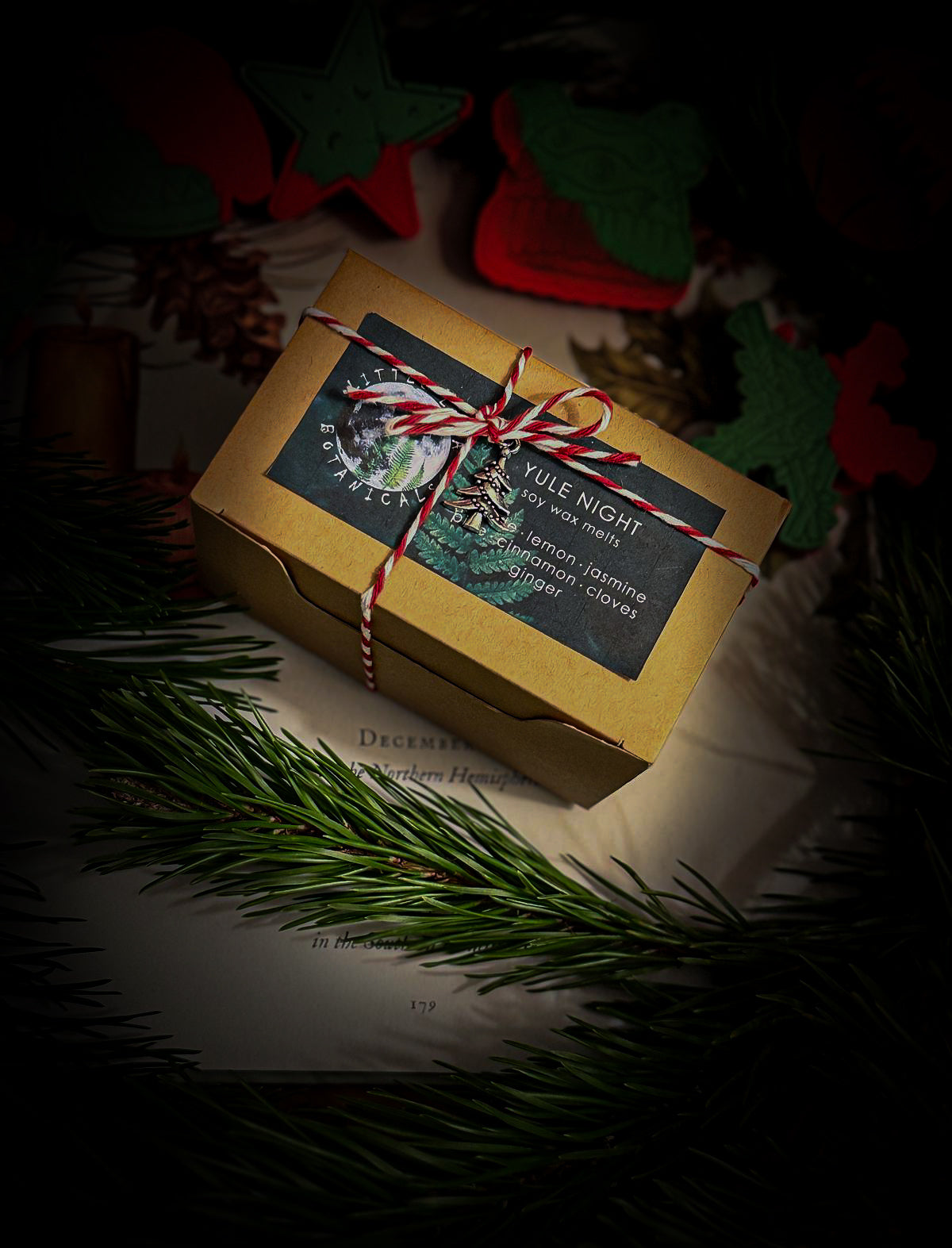 Yule Night wax melts
