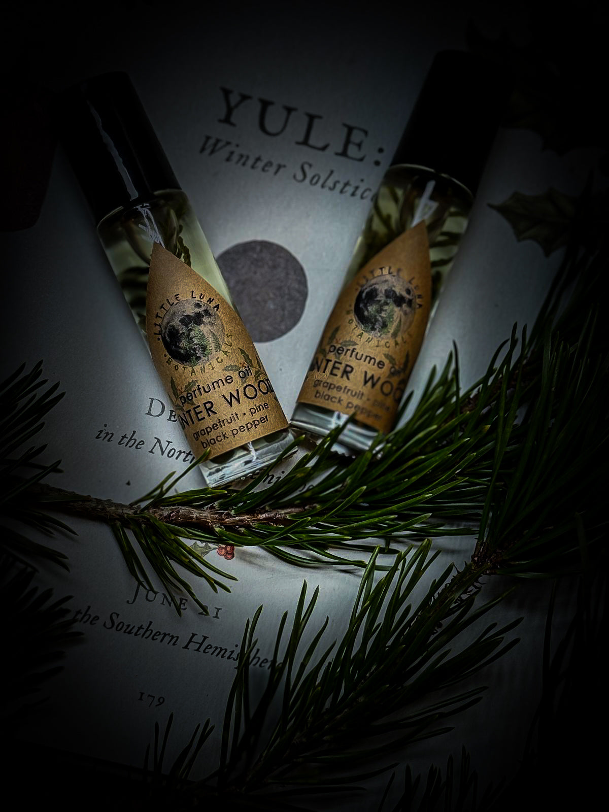 WINTER WOODS Perfume oil | Pine Needle, Black Pepper, Grapefruit | 10ml